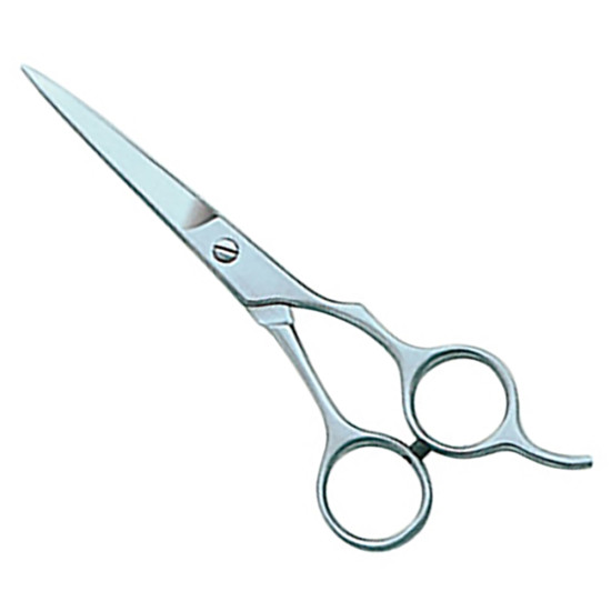 Barber and Dressing Scissors