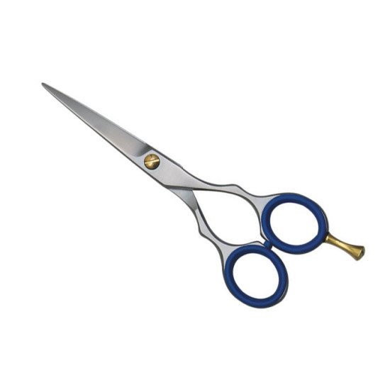 Barber Scissors