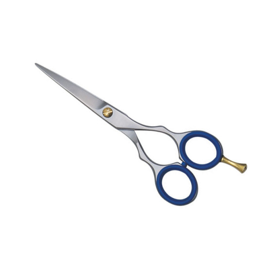 Barber Scissors