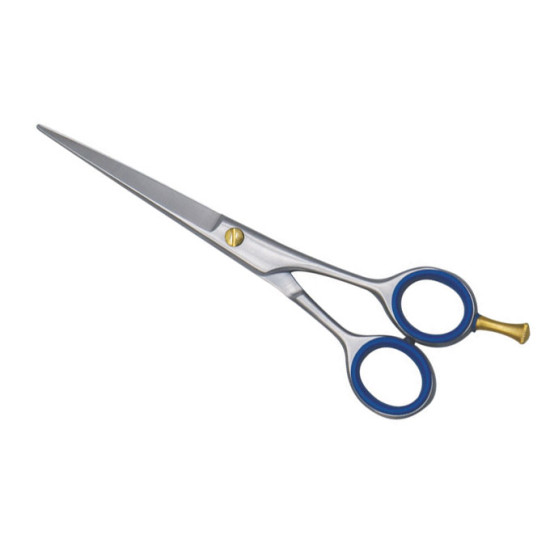 Barber Scissors