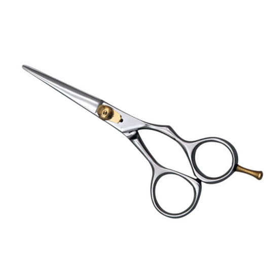 Barber Scissors