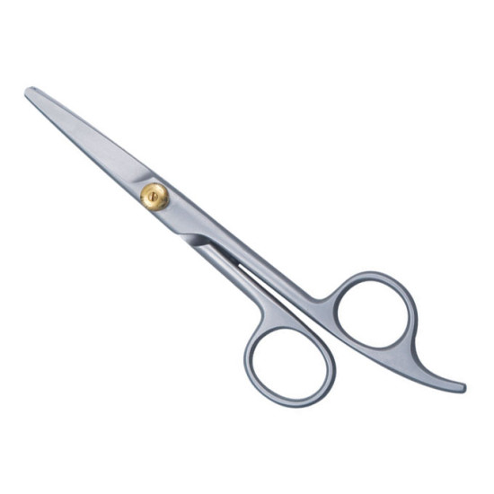 Barber Scissors