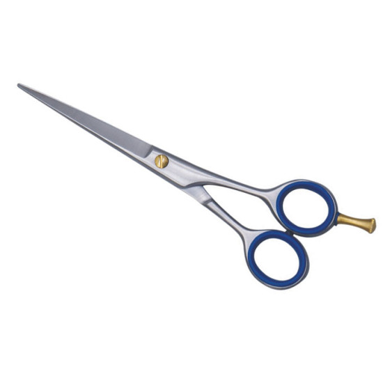 Barber Scissors