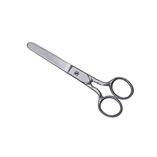 House Hold & Taylor Scissors