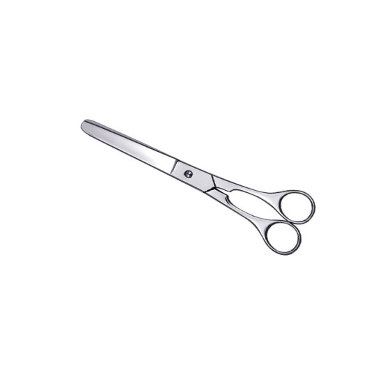 House Hold & Taylor Scissors
