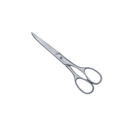 House Hold & Taylor Scissors