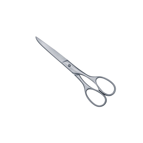 House Hold & Taylor Scissors