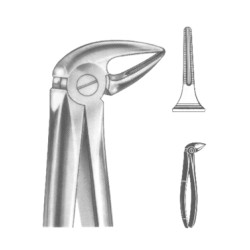 Lower Third Molars