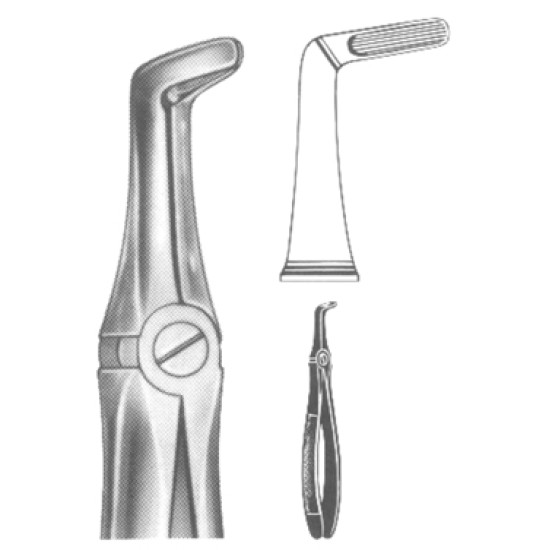 Sure-grip beaks
