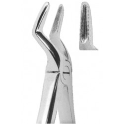 Upper Anteriors, bicuspids, Roots