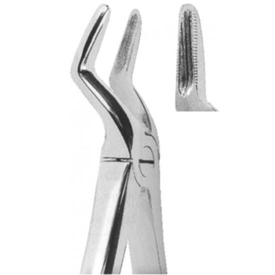 Upper Anteriors, bicuspids, Roots
