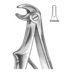 Upper & Lower Roots