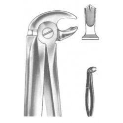 Upper Third Molars
