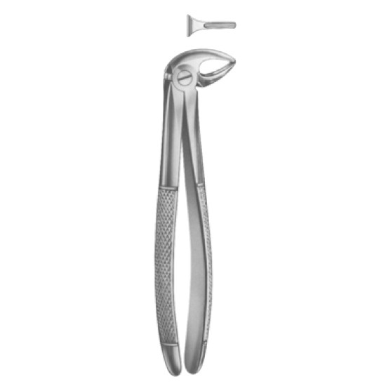 Lower Premolars