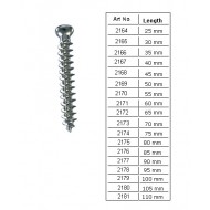 Screw