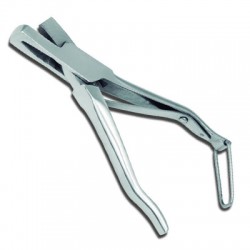 Livestock and Identification Equipment