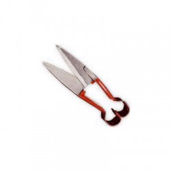 Scissors  Shears