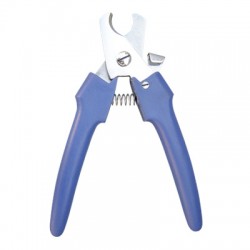 Scissors  Shears