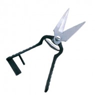 Scissors  Shears