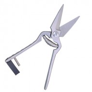 Scissors  Shears