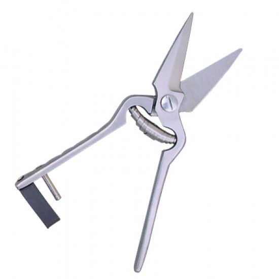 Scissors  Shears