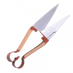 Scissors  Shears