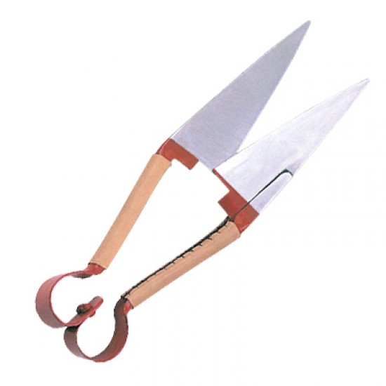 Scissors  Shears