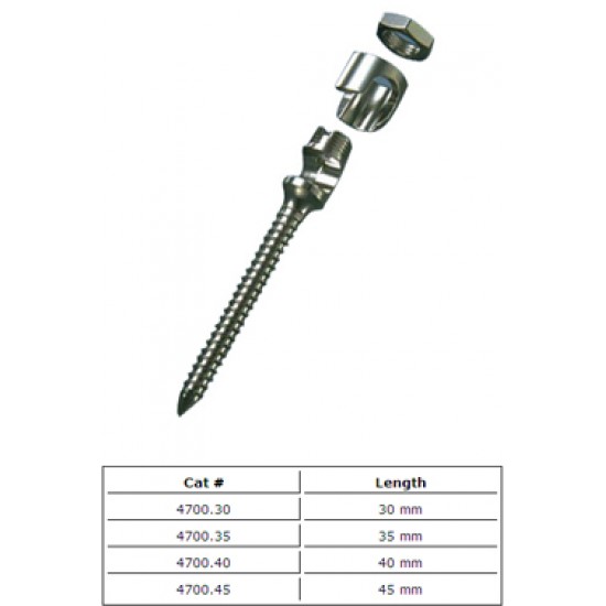 Orthopedic Screws