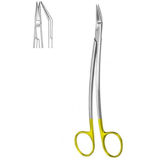 Scissors