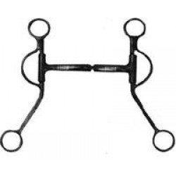 Equestrian Equipments