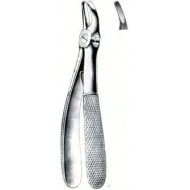 Tooth Instruments
