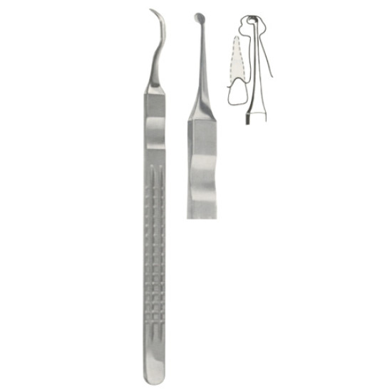 Instruments for Removel of Roots, Syndesmotomes