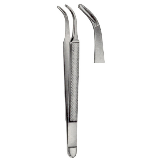 Instruments for Root Fragments