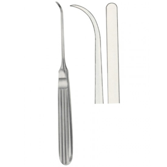 Raspatories,Files, Chisel