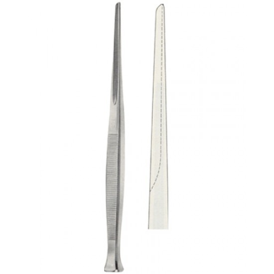 Raspatories,Files, Chisel