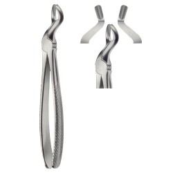 Tooth Extracting Forceps