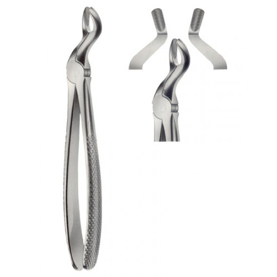 Tooth Extracting Forceps