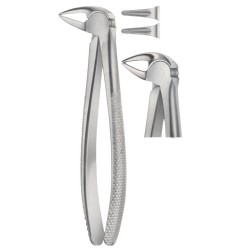Tooth Extracting Forceps