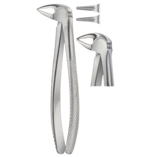 Tooth Extracting Forceps