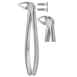 Tooth Extracting Forceps