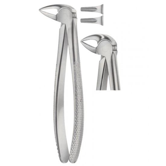 Tooth Extracting Forceps