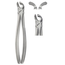 Tooth Extracting Forceps