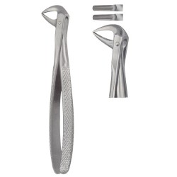 Tooth Extracting Forceps
