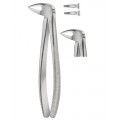 Tooth Extracting Forceps