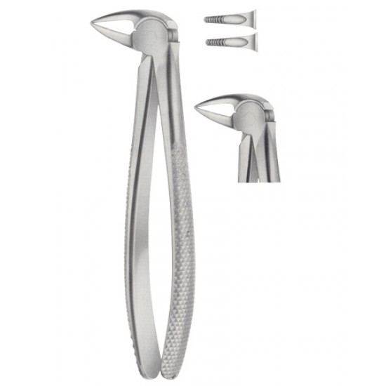 Tooth Extracting Forceps