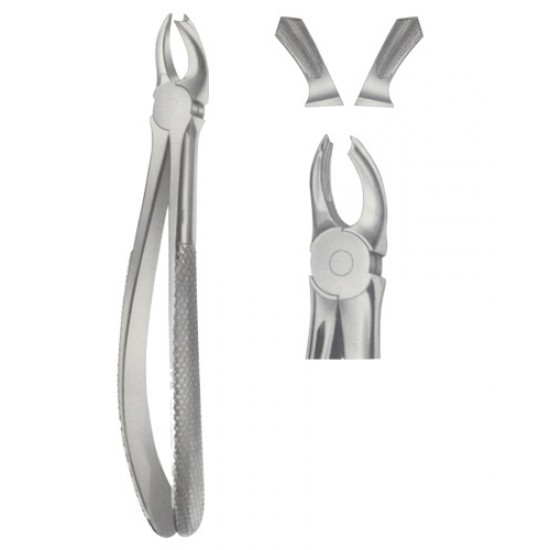 Tooth Extracting Forceps