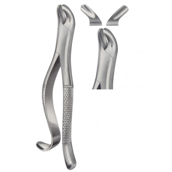 Tooth Extracting Forceps