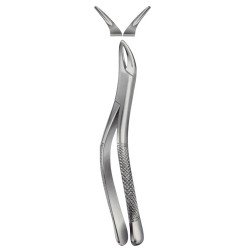 Tooth Extracting Forceps