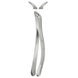 Tooth Extracting Forceps