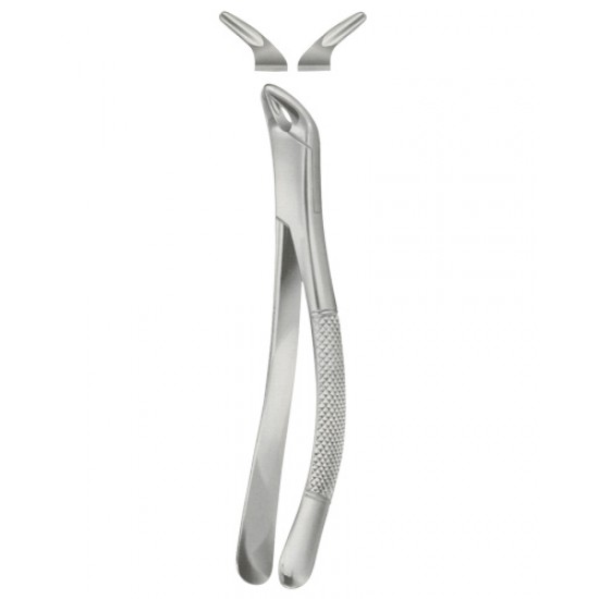 Tooth Extracting Forceps